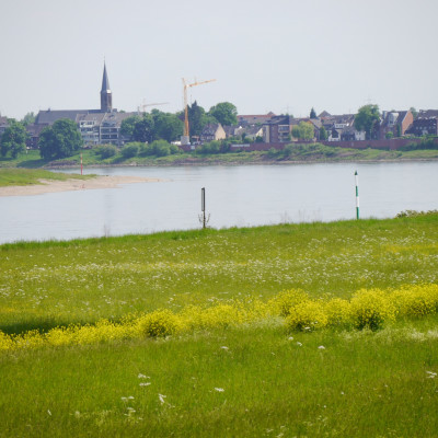 Der Rhein